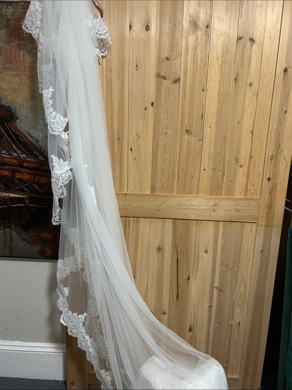Delicate White Lace-Trim Bridal Veil - Unbranded